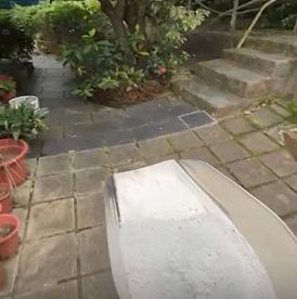 宠物纪念花园探访体验 1