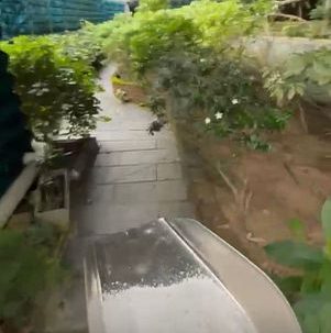 宠物纪念花园探访体验 2