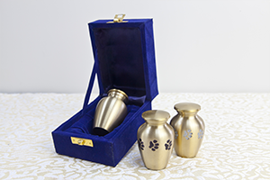Handmade classic brass pet urn gold urn with black paw print GB