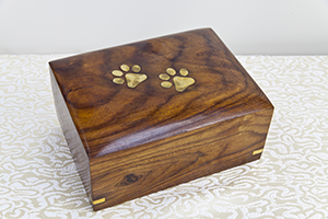 Odyssey Handmade Brass Pet Urn Rainbow Cup with Rose Gold Paw Print RG